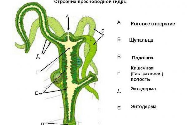 Сайт кракен kraken