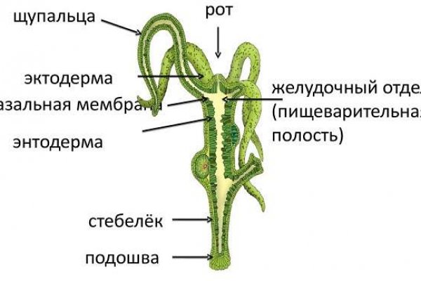 Кракен ссылка 2 веб