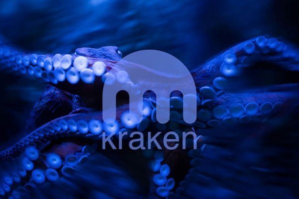 Kraken store